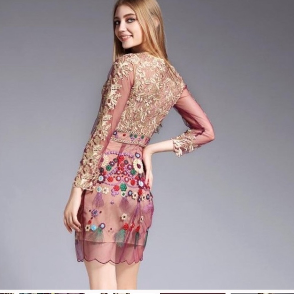 Metisu Pink Mesh Embroidered Waved Hem Mini Dress